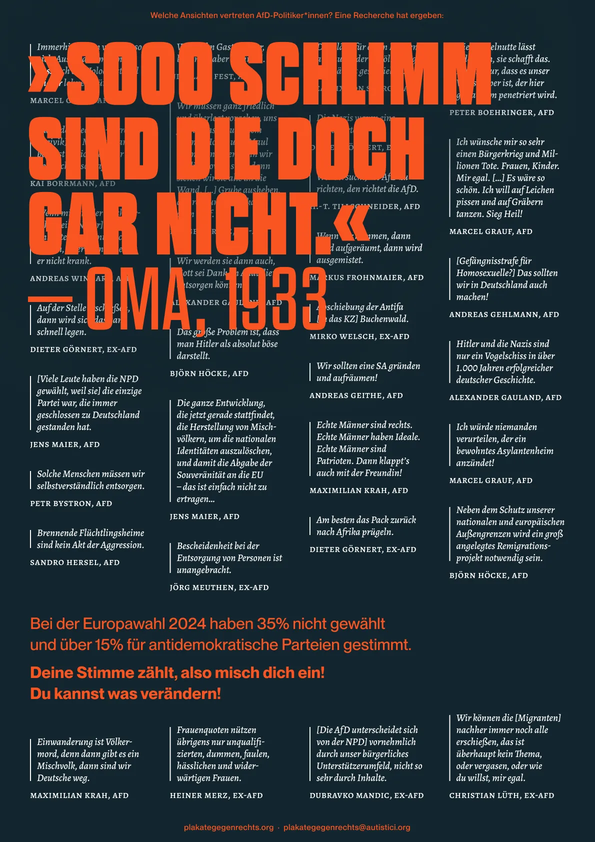 Im Hintergrund stehen viele Menschenverachtende Plakate von teils Ehemaligen AFD Mitgliedern und Mitgliederinnen. Im Vordergrund steht die Aufschrift 'Soo schlimm sind die doch gar nicht. -Oma, 1933'.